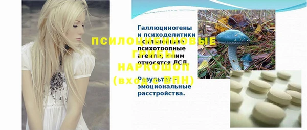 a pvp Гусиноозёрск