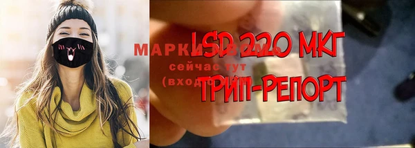 дживик Гусев