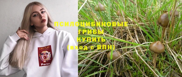 дживик Гусев