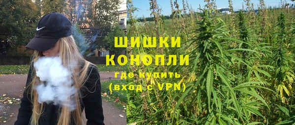 дживик Гусев
