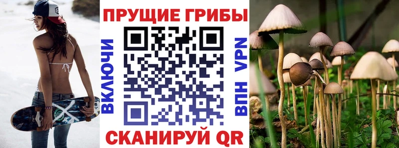 Галлюциногенные грибы Magic Shrooms  Севастополь 